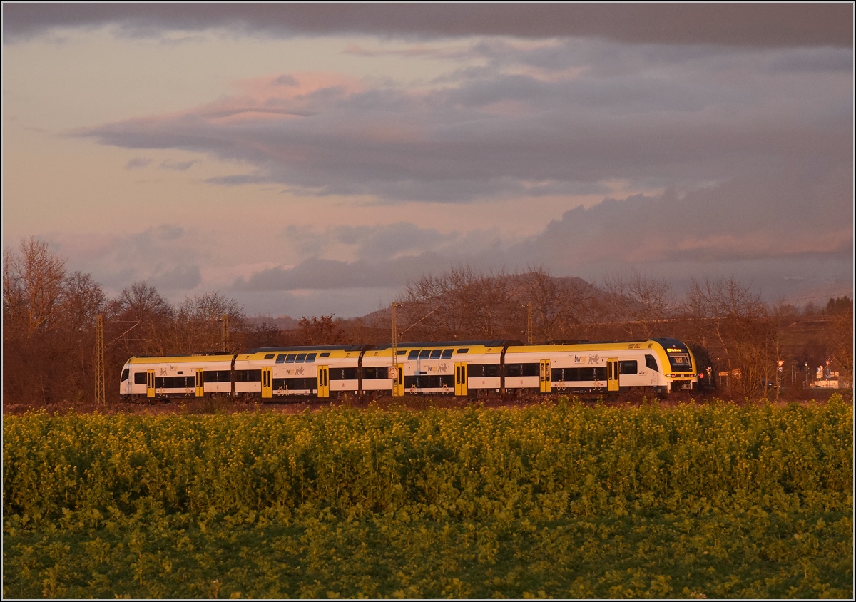 Ein unbekannt gebliebener 1462 von Bwegt im letzten Abendlicht nach dem Sturm fährt im Markgräflerland vorüber. Buggingen, November 2021. 