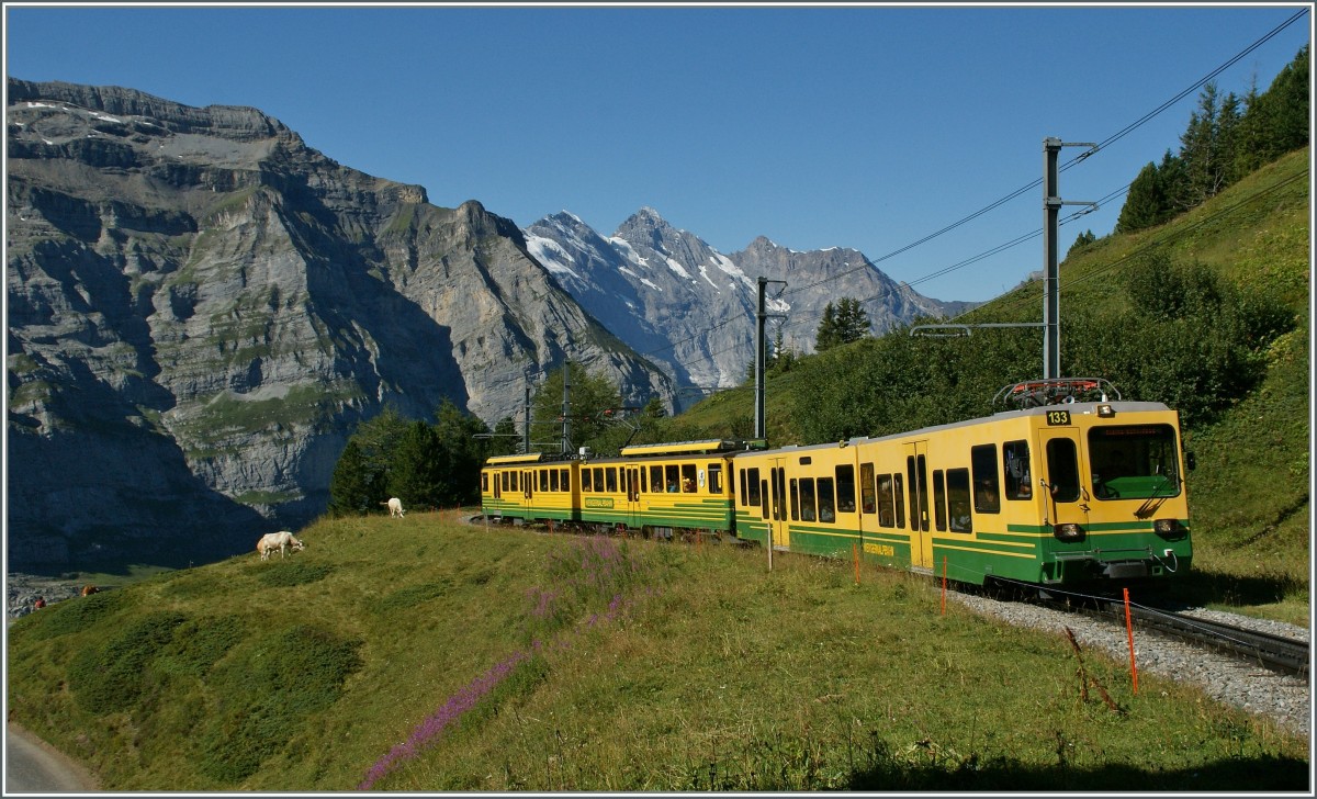 Ein WAB Regionalzug zwischen Wengener Alp und der Kleinen Scheidegg. 
21. August 2013