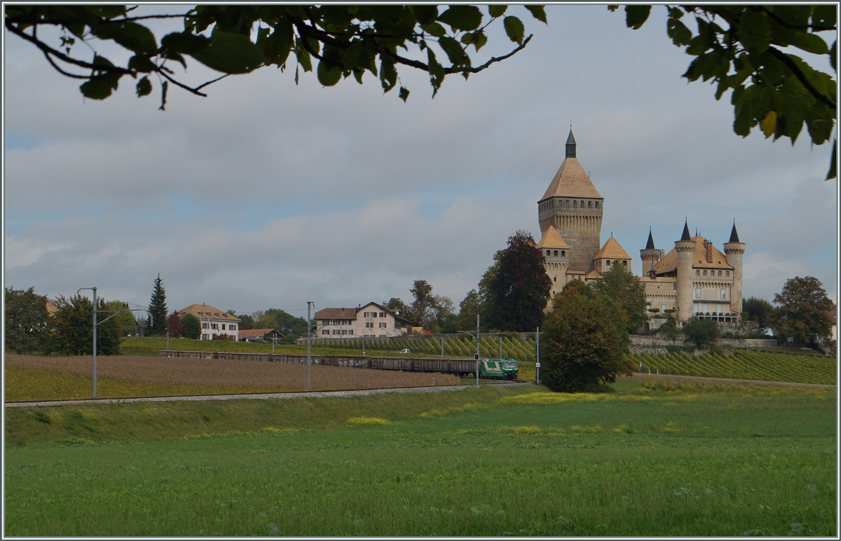 Eine der beiden BAM Ge 4/4 ist mit einem vollen Zuckerrübenzug besehend aus sieben Eaos bei Vufflens le Château unterwegs. Da pro Achse ein Zweiachsiger Rollbock benötigt wird, hat die Lok 56 (Schmalspur)-Achsen am Haken. 

15. Okt. 2014