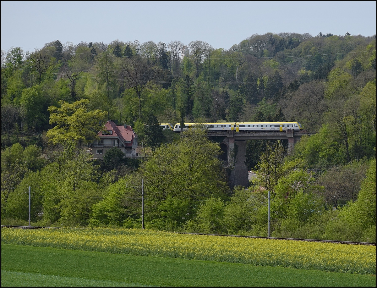Eine Doppeltraktion 612 auf der Mhlbachbrcke bei Albert. Betrachtet aus der Schweiz. April 2019.
