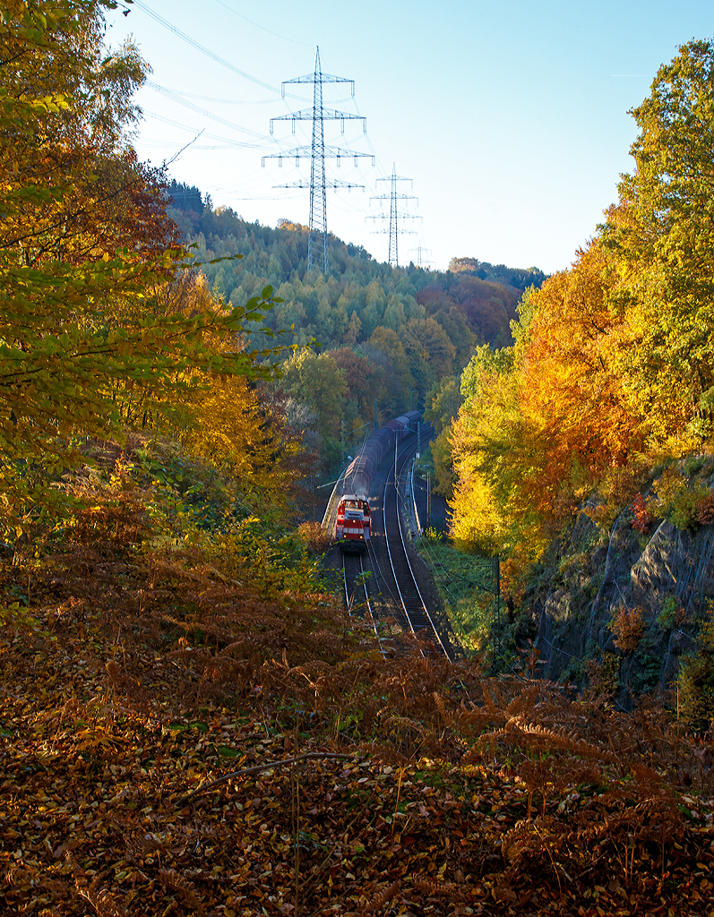 
Eine MaK On Rail DH 1004 (Umbau aus DB V100) Lok der Westerwaldbahn (WEBA) bringt einen Coilgüterzug (leer) aus Selters/Ww via Altenkirchen und Au/Sieg nach Betzdorf/Sieg, sie überquert gerade bei Scheuerfeld die Sieg, bevor es durch den 32 m langen Mühlburg-Tunnel geht. 