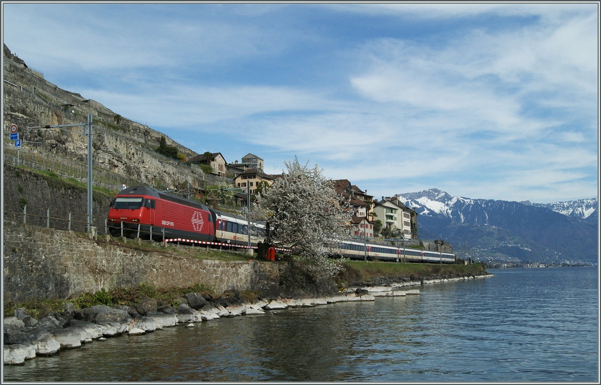 Eine SBB Re 460 ist bei St-Saphorin mit einem IR Richtung Lausanne unterwegs.
15. April 2015