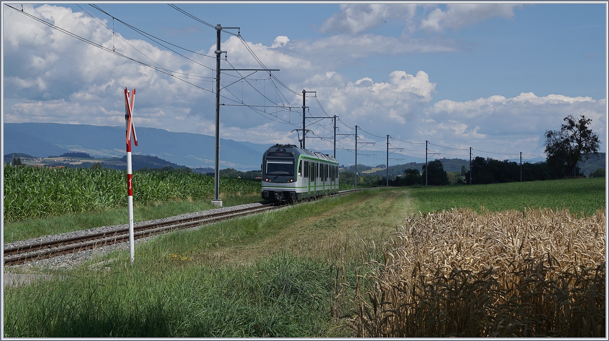 Erinnerungen an einen Sommer  der LEB Be 4/4 64, unterwegs als Regionalzug 131 von Lausanne Flon nach Bercher, wurde hier kurz nach Fey fotografiert.

25. Juli 2020