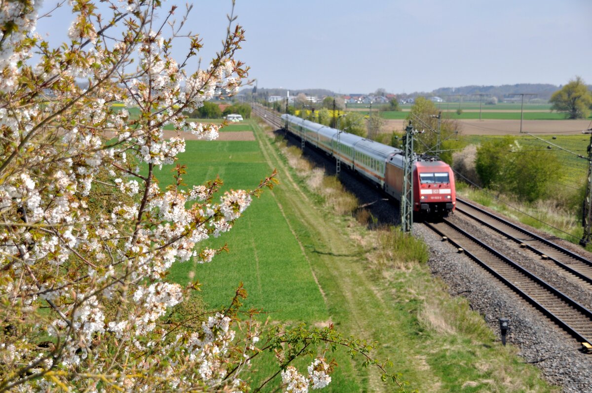 Es ist Frühling; 101 022-2 mit IC bei Neu-Ulm Pfuhl am 22.04.2022.