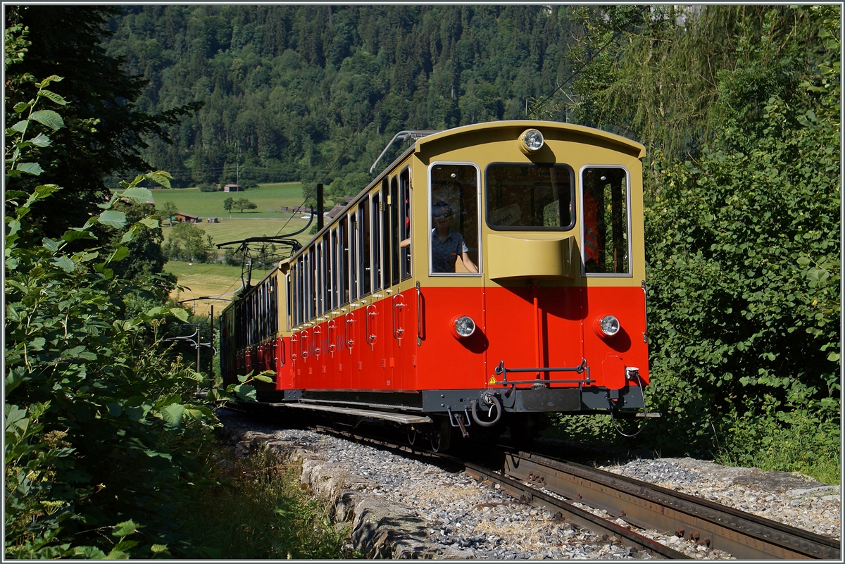 Etwas oberhalb von Wilderswil, auf dem BOB Bahnwanderweg konnte der SPB Zug 651 abgelichtet werden. 
12. Juli 20015