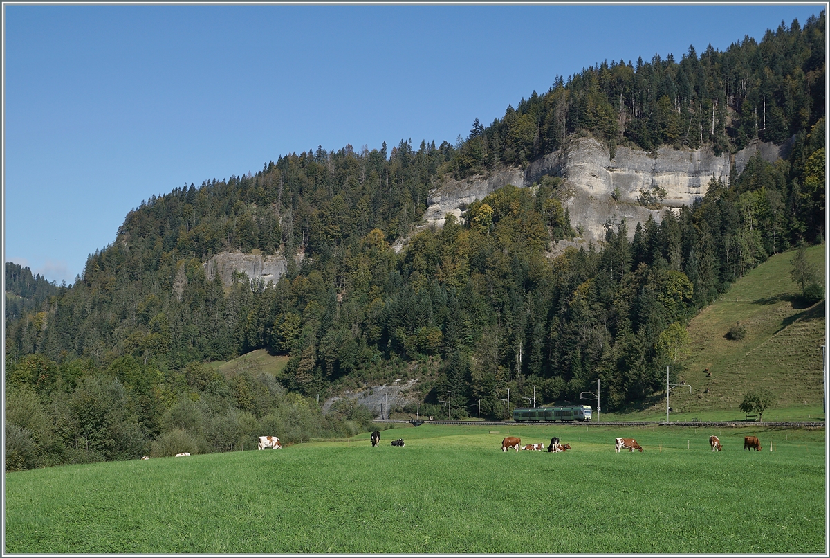 Etwas ungeschickt, wenn man von der Strasse abkommt, die Ilfis überquert und dann das  Emmentalbild  im Entlebuch entsteht... 

Ein BLS RABe 535 bei Ennetiflis (Wiggen) auf der Fahrt in Richtung Trubschachen. 

30. Sept. 2020