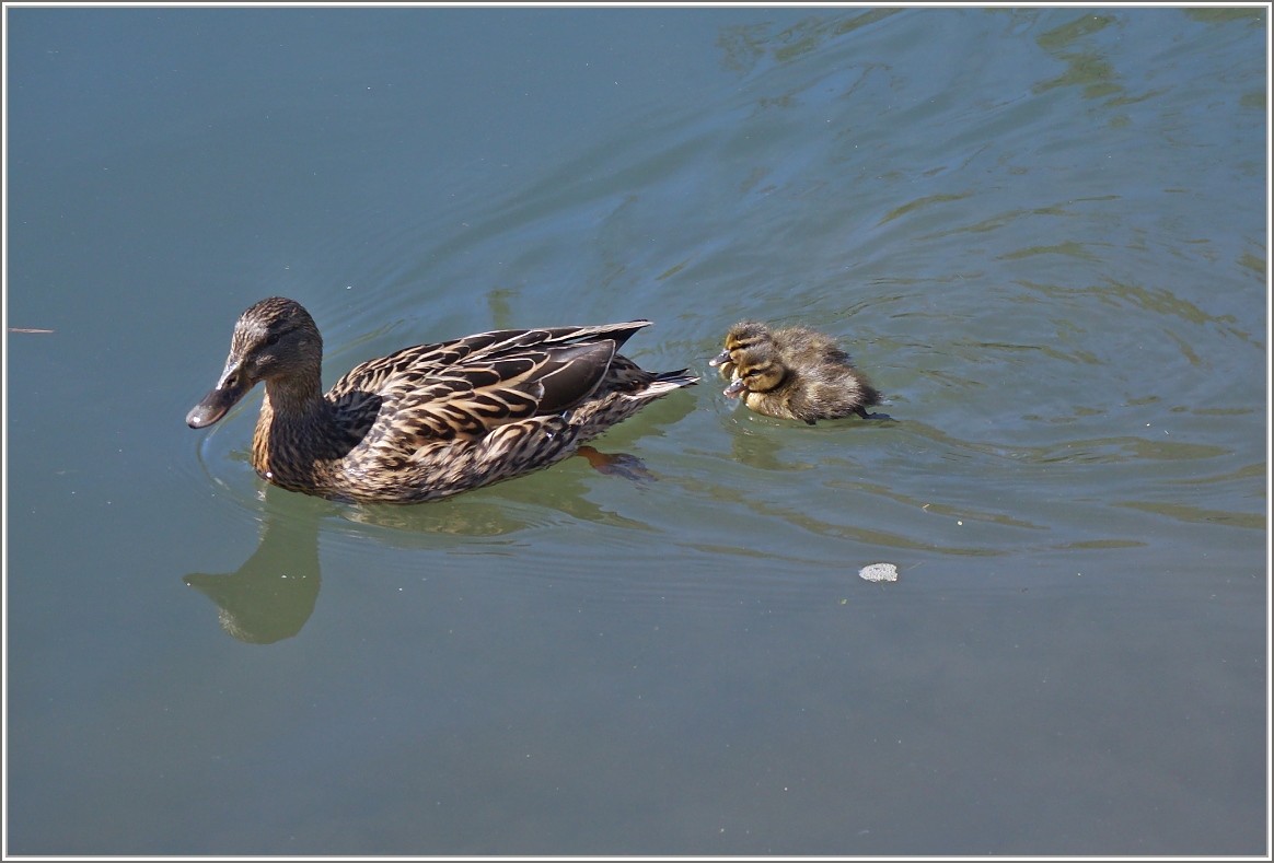 Familienausflug
(14.04.2016)