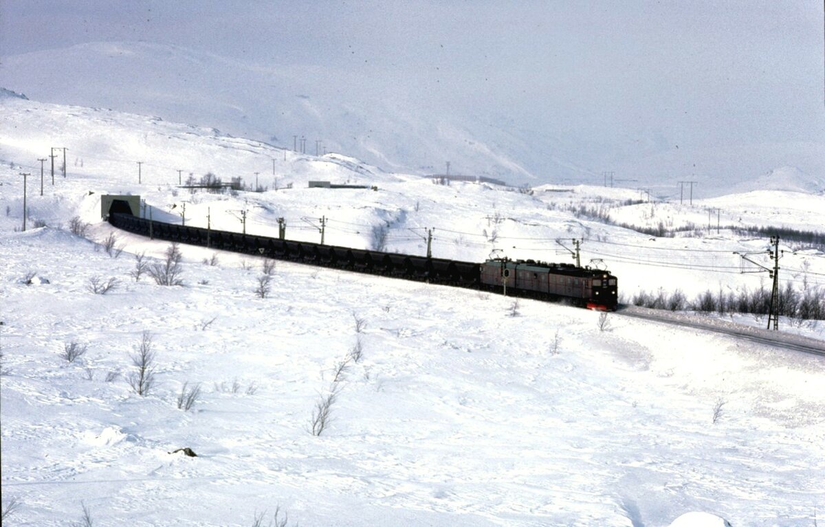 Foto von Kenth Öhlin in Sammlung von Karl Sauerbrey: SJ Dm 3 Nr.1203 mit Leerzug bei Narvik-Vasijaure im April 1984.