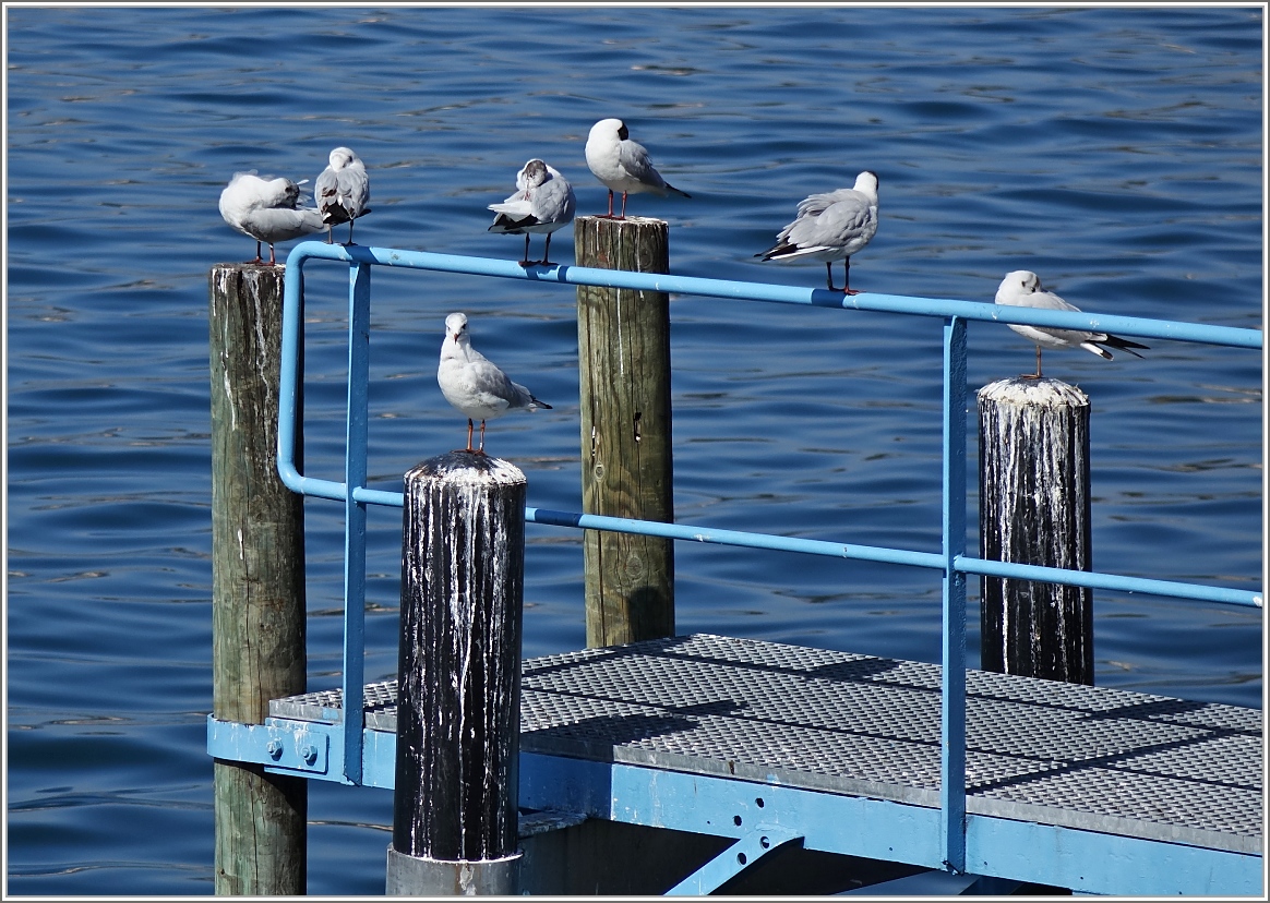 Frühjahrsputz
(10.03.2014)