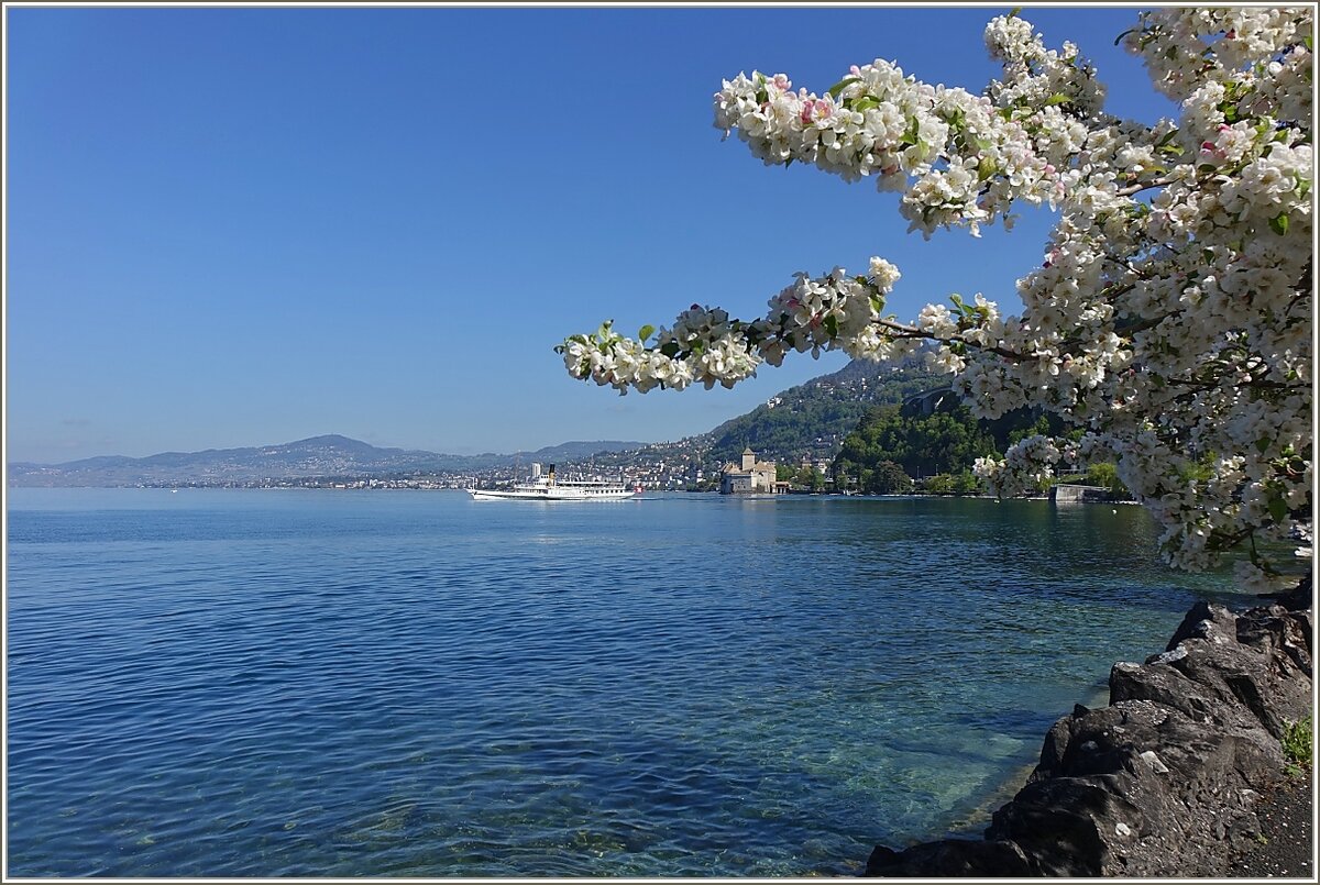 Frühlingsausflug am Genfersee
(27.04.2022)
