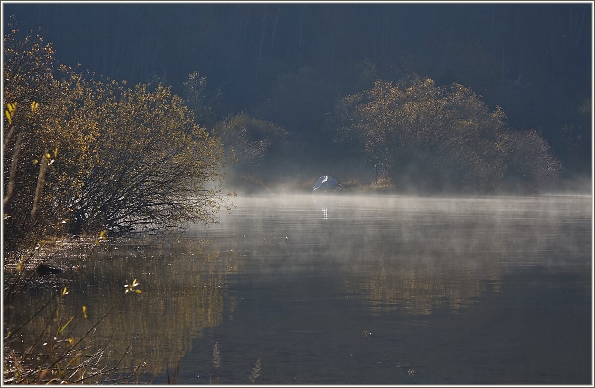 Frühnebel im Valleé de Joux
(14.11.2020)