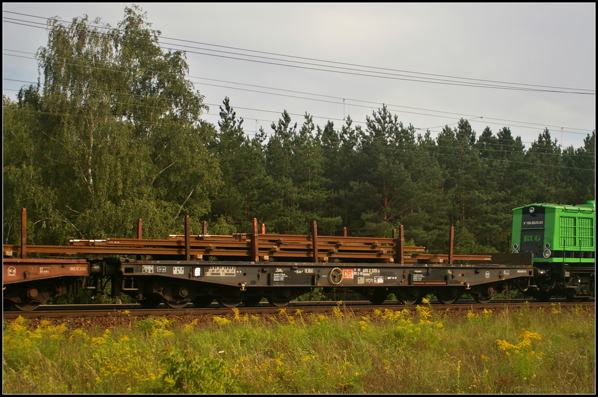 Für die Beförderung schwerer Walzprofile oder anderer sperriger Güter sowie schwerer Kettenfahrzeuge, die zunächst als SSylms, ab 1965 als Sas 710 bezeichnet wurden. Ab 1980 wurden die Wagen in Samms 710 umgezeichnet. Der sechsachsige Drehgestell-Flachwagen der Gattung Samms 710 kann auch zum Transport von Coils genutzt werden (31 RIV 80 DB 4862 335-5 Samms 710)