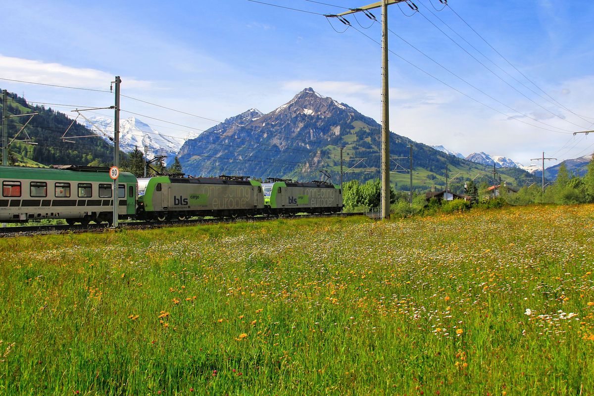 Güterverkehr auf der Lötschberg-Achse: die BLS-Lokomotiven 485 015 und 485 011. Bei Frutigen, 23.Mai 2017. 