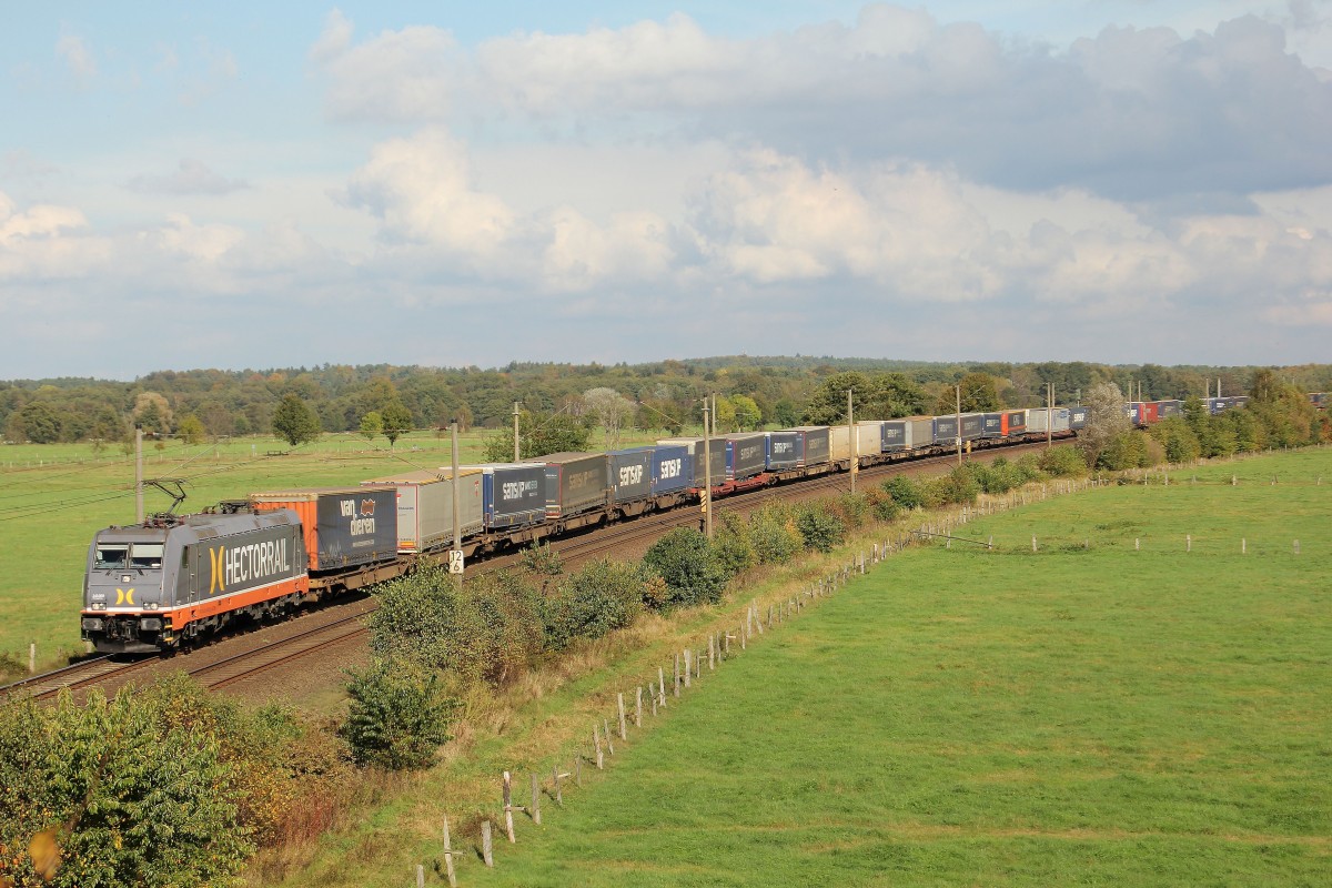 Hectorail 241.009 mit KLV Zug aus Richtung Hamburg am 14.10.2014 in Richtung Buchholz unterwegs auf der Güterumgeung bei Ramelsloh.