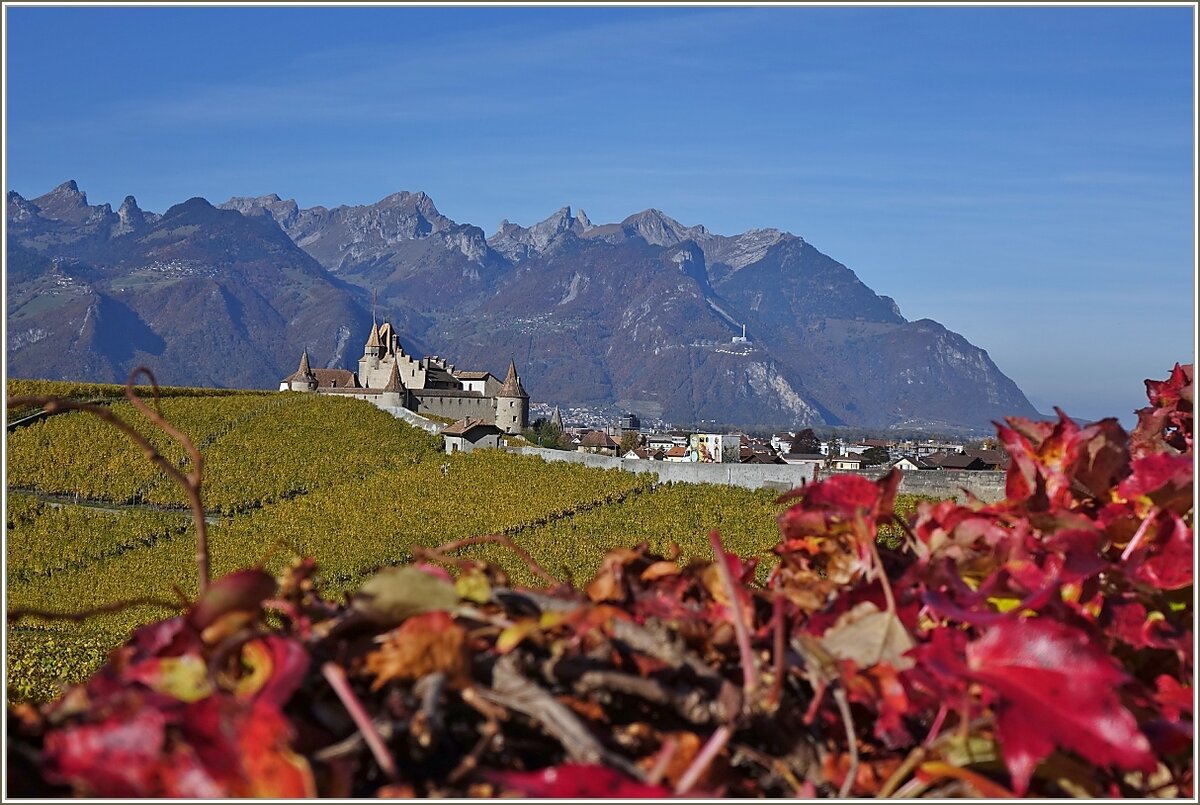 Herbst am Château Aigle.
(27.10.2021)