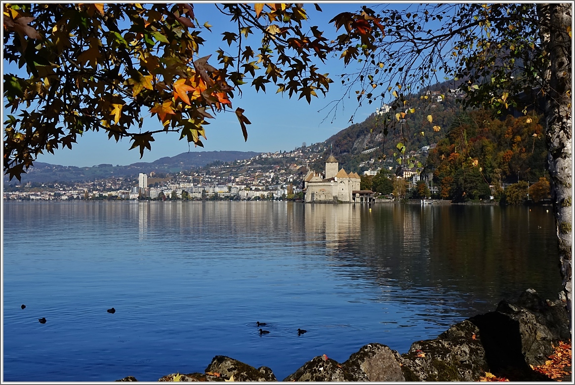 Herbst am Genfersee.
(01.11.2014)