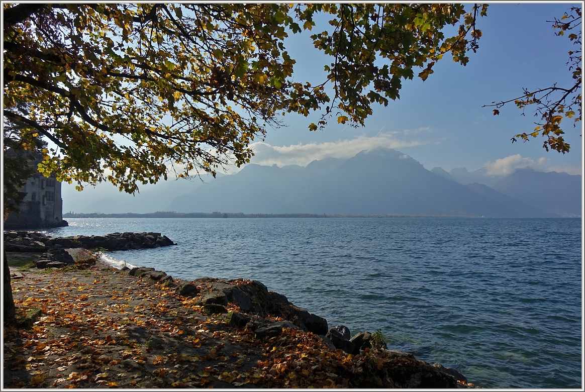 Herbst am Genfersee
(03.11.2016)