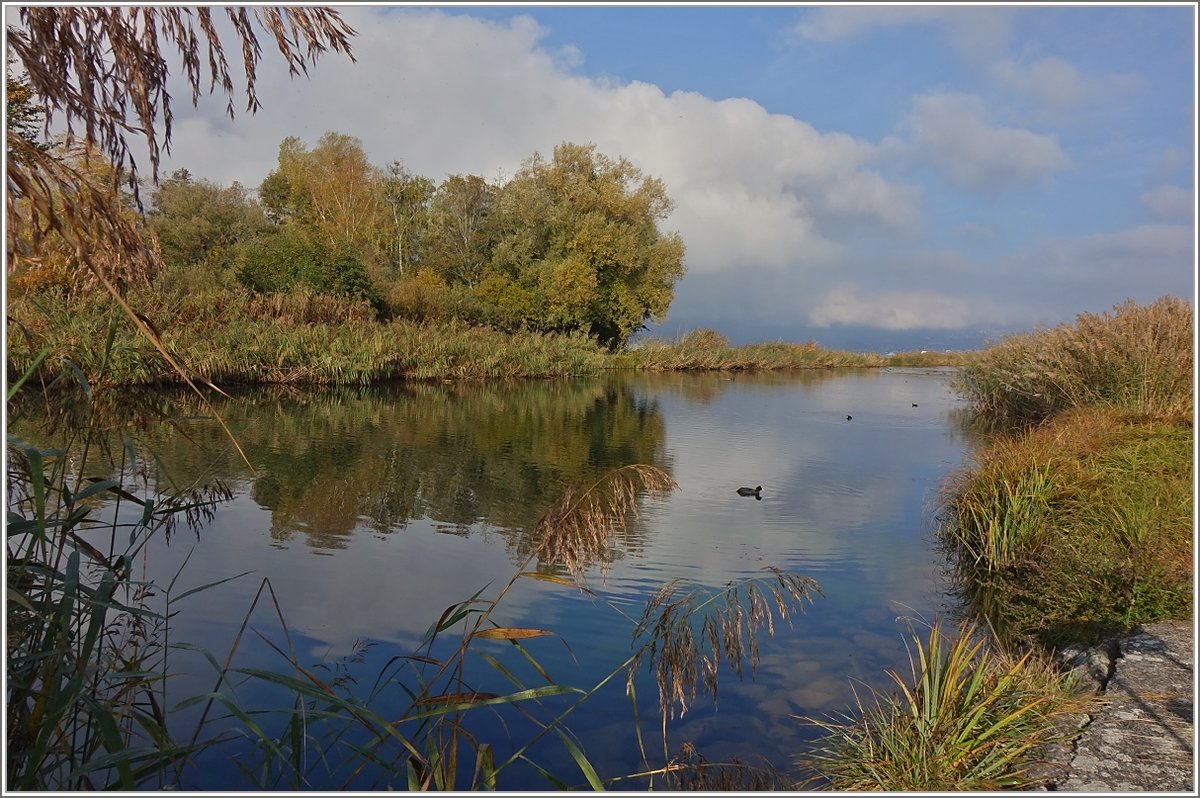 Herbst am Grande-Canal
(26.10.2018)