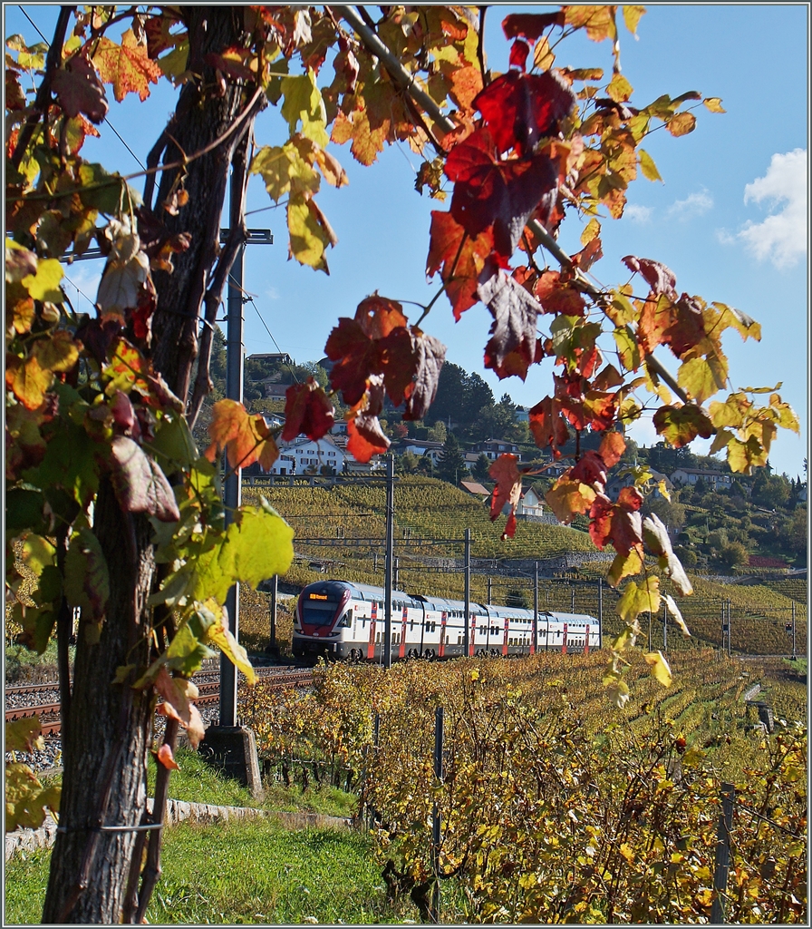 Herbst im Lauvaux: ein RABe 511 auf dem Weg nach Romont bei Grandvaux. 
23. Okt. 2014