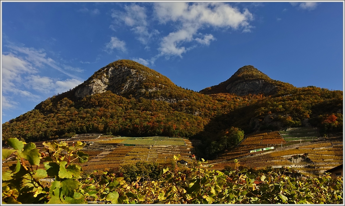 Herbststimmung in den Weinbergen von Aigle.
(03.11.2014)