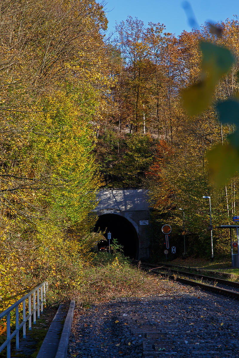 Herbstzeit im Hellertal.....und der Zug kommt....
Der VT 502 (95 80 1648 102-9 D-HEB / 95 80 1648 602-8 D-HEB) ein Alstom Coradia LINT 41 der neuen Generation der HLB (Hessische Landesbahn GmbH) befährt am 01.11.2021 den Herdorfer Tunnel (137 m lang) und erreicht am 01.11.2021 bald den Bedarfs-Haltepunkt Herdorf-Königsstollen. 

Er fährt als RB 96  Hellertalbahn  die Verbindung Neunkirchen - Herdorf - Betzdorf.