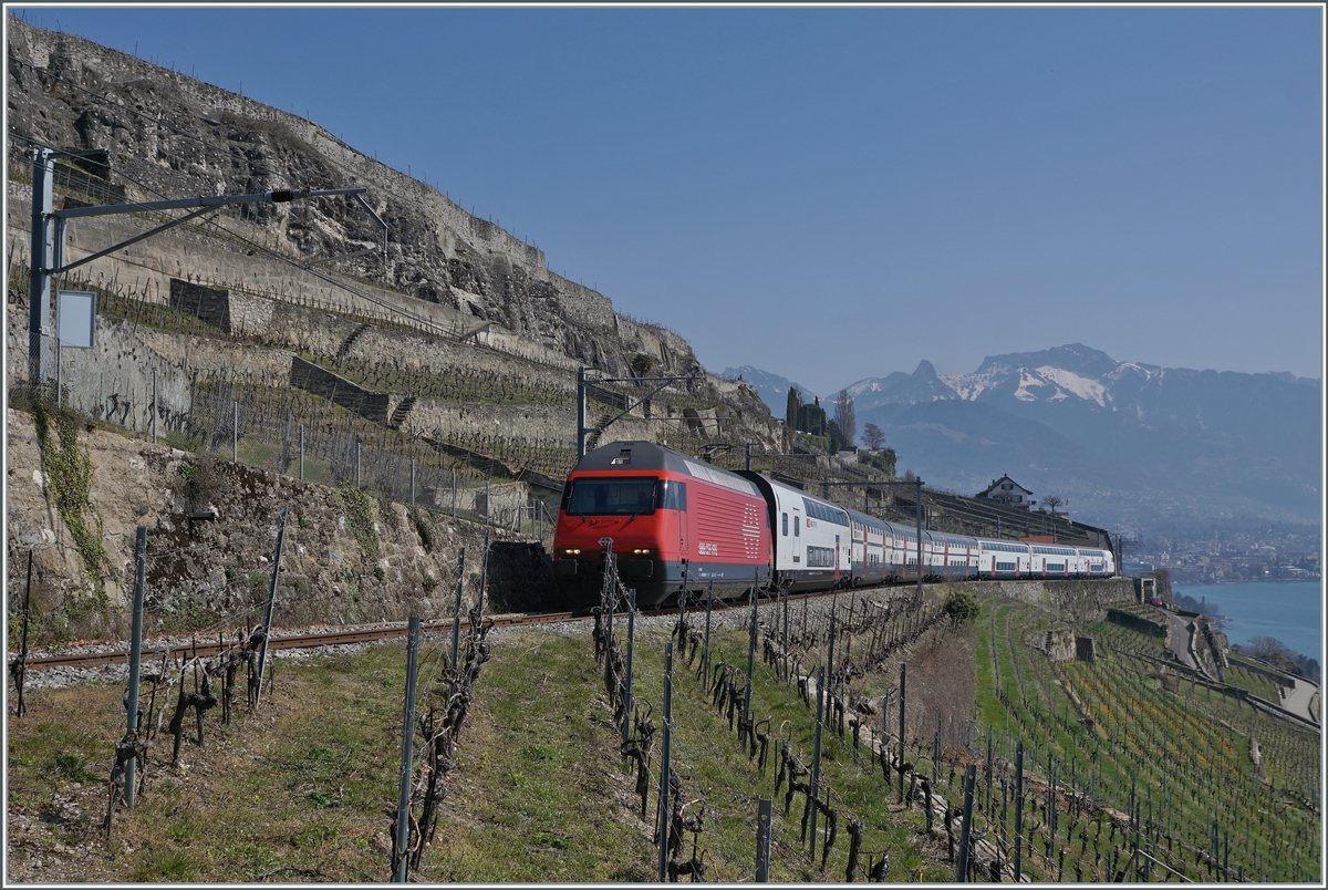 Heute gab es wieder einen Umleitungsverkehr via die Train des Vignes Strecke und da ich zwischenzeitlich festgestellt hatte, dass neben den RABe 511 auch Re 460 geführte Züge in den Genuss einer Fahrt über diese schöne Strecke kommen, entschloss ich mich wieder einmal das Lauvaux und die Trains de Vigens Strecke aufzusuchen: Die SBB Re 460 092-9 ziert mit ihrem Dosto 2000 RE 30266 von St-Maurice nach Genève Aéroport die Landschaft des Lavaux oberhalb von St-Saphorin.

20. März 2022