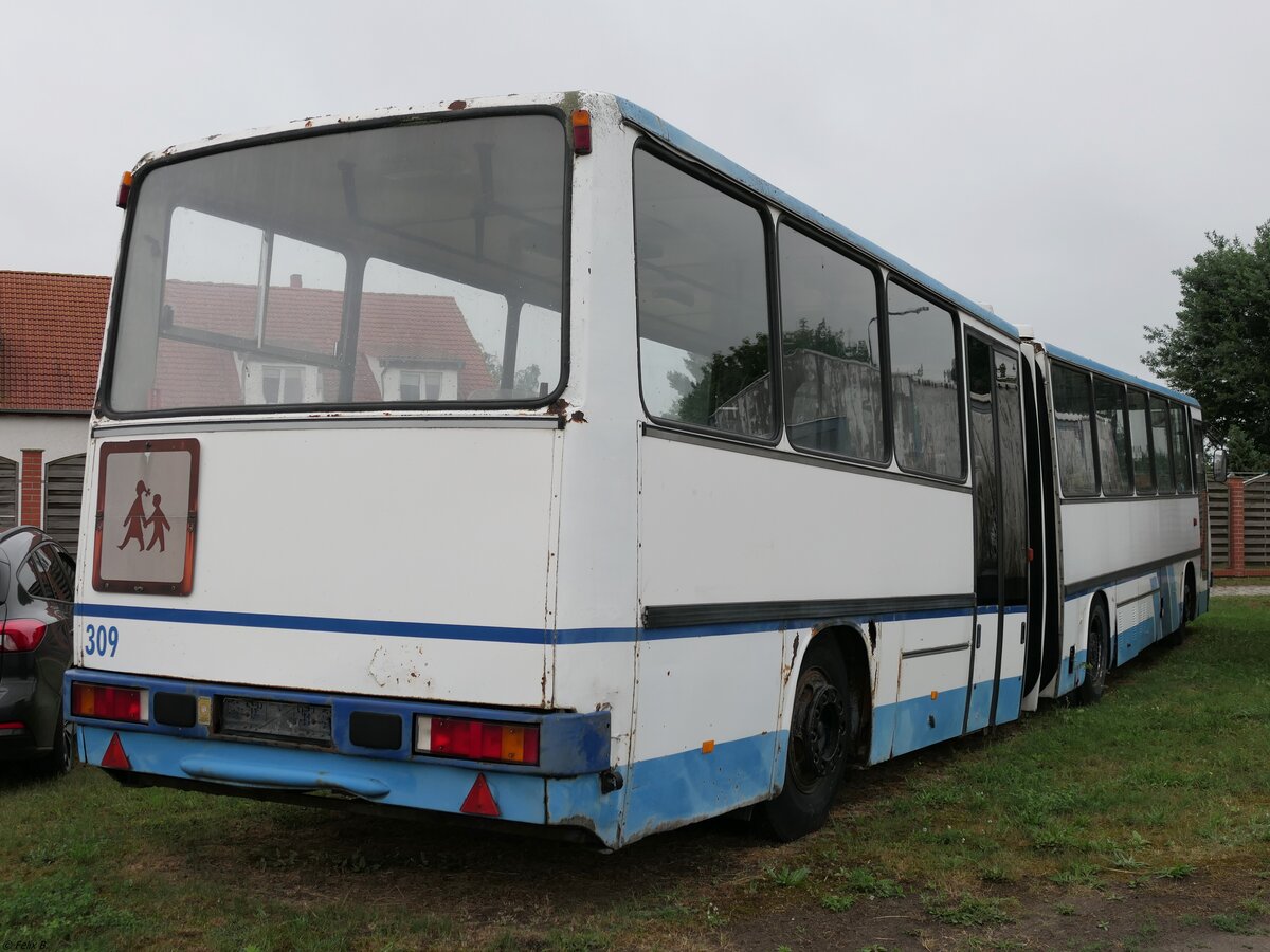 Ikarus 280 vom DDR-Museum Dargen (ex KVG Ribnitz-Damgarten (RDG-K 45)) in Dargen.