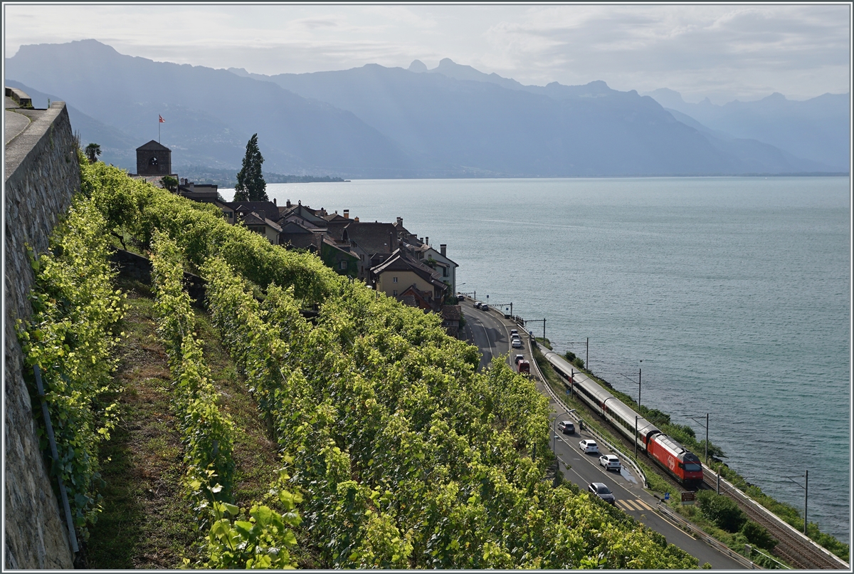 Im Lauvaux, bei St-Saphorin, schiebt eine SBB Re 460 ihren IR in Richtung Brig. 

13. Aug. 2021