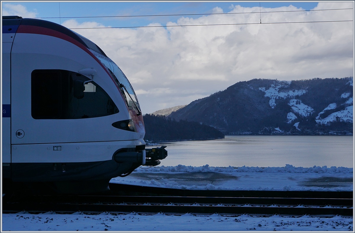 Immensee - nicht nur der Temperatur wegen fast schon  Fjord Mäßig ...
7. Jan. 2017
