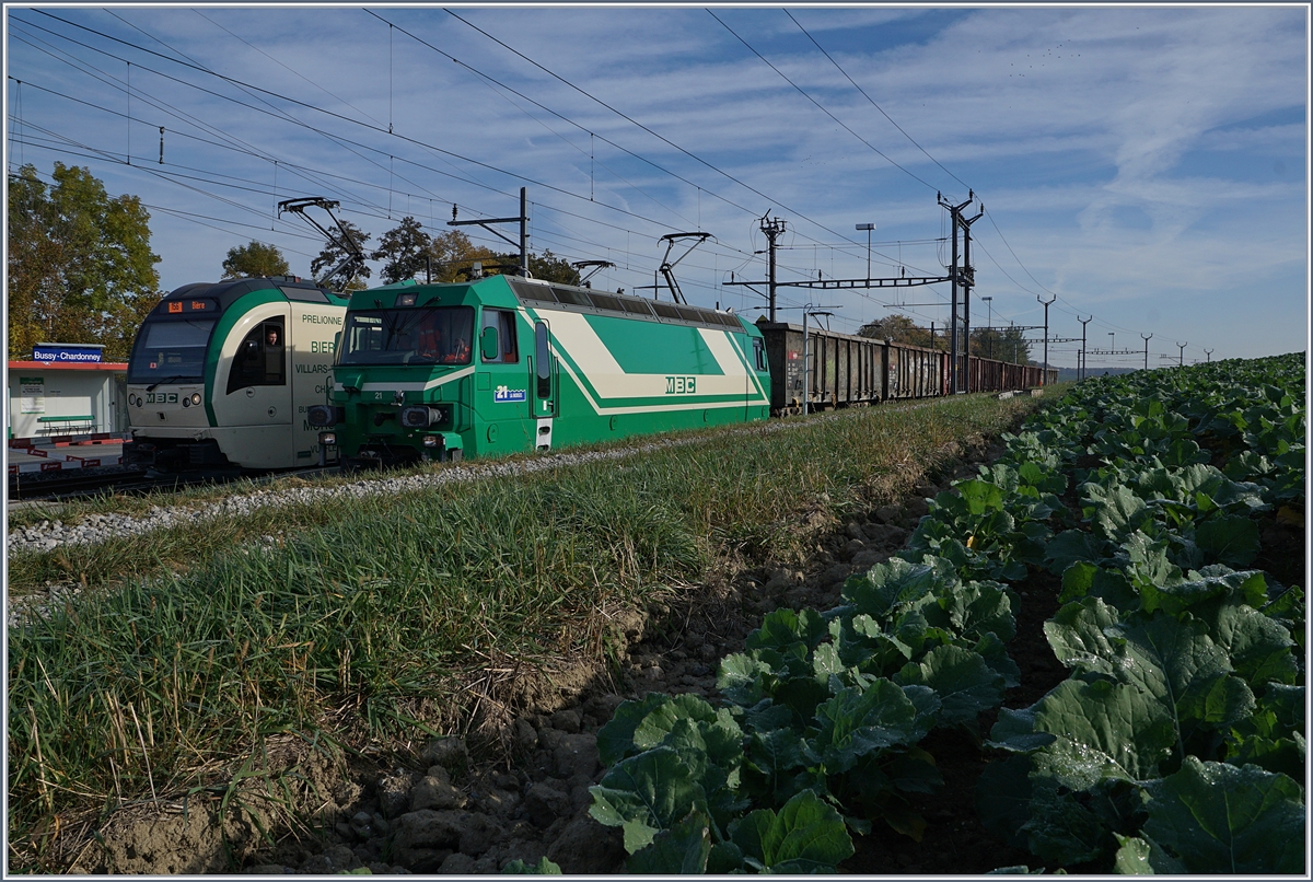 In Bussy-Chardonney endet heute der Regionalverkehr, wer weiter will, muss in den Bus umsteigen. Auf Gleis 3 wartet die BAM Ge 4/4 21 mit sieben leeren Eaos auf die Weiterfahrt Richtung Apples. 17. Okt. 2017