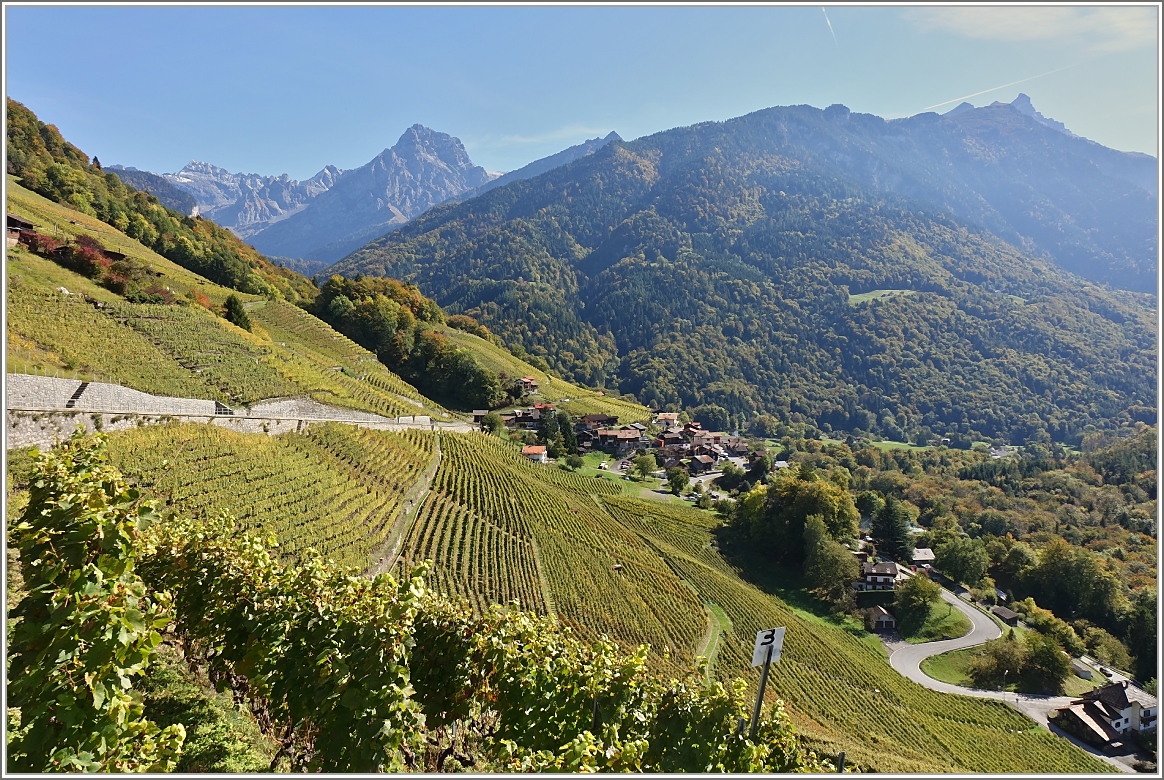 In den Weinbergen zwischen Villars und Bex.
(07.10.2017)
