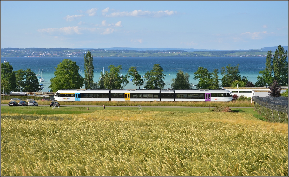 Ins rechte Licht gesetzt macht auch ein GTW was her. 

Thurbo GTW 2/8 in Landschlacht. Juni 2014.