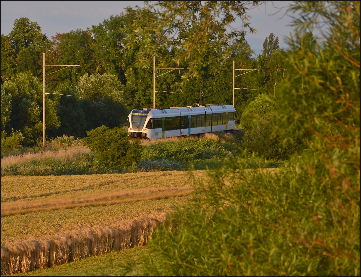 Ins rechte Licht gesetzt macht auch ein GTW was her. 

Thurbo GTW 2/8 unterhalb dem Spital Münsterlingen. Juni 2014.