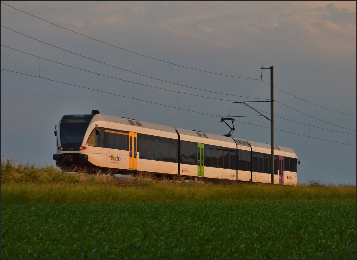 Ins rechte Licht gesetzt macht auch ein GTW was her. 

Thurbo GTW 2/8 bei Siegershausen. Juni 2014.