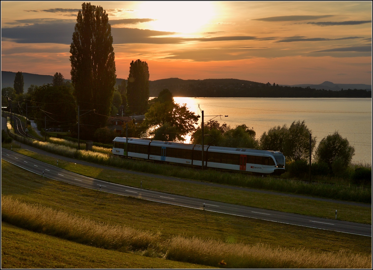 Ins rechte Licht gesetzt macht auch ein GTW was her. 

Thurbo GTW 2/8 bei Mannenbach. Juni 2014.
