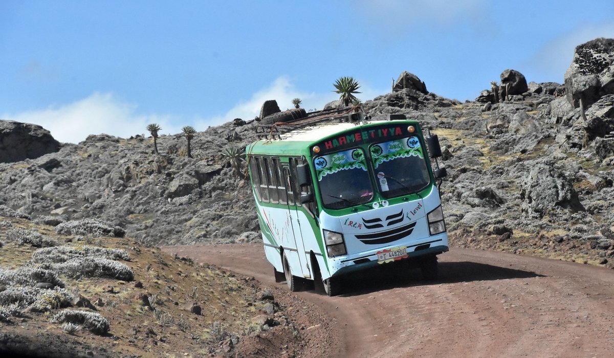 ISUZU Midibus in thiopien auf ca 3.900 Meter Seehhe im Senettie Plateau 03/2019 gesehen.