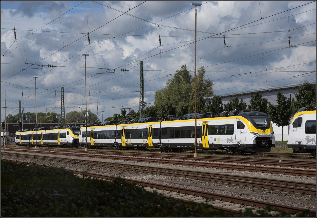 Karpfenzucht in Radolfzell. 463 014 im Güterbahnhof, dahinter 463 015. August 2020.