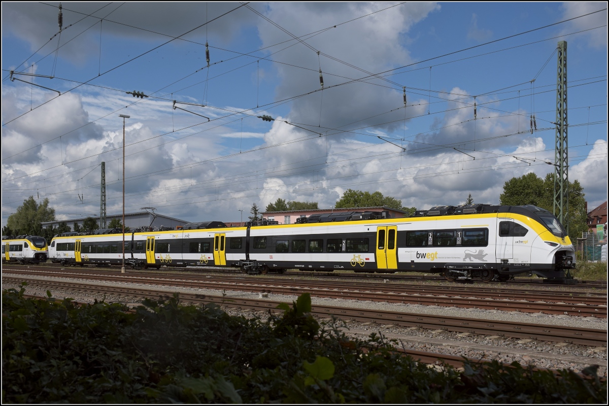 Karpfenzucht in Radolfzell. 463 017 im Güterbahnhof. August 2020.