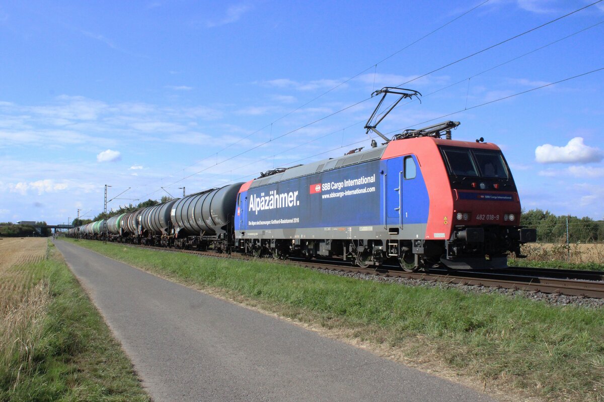 Kein einziger Alp in der Nähe und doch ein Alpäzähmer: SBB Cargo 482 018 passiert der Fotograf am 23 Juli 2025 bei Kaarst-Broicherseite und wird vom ogffenbarer Pfad fotografiert.