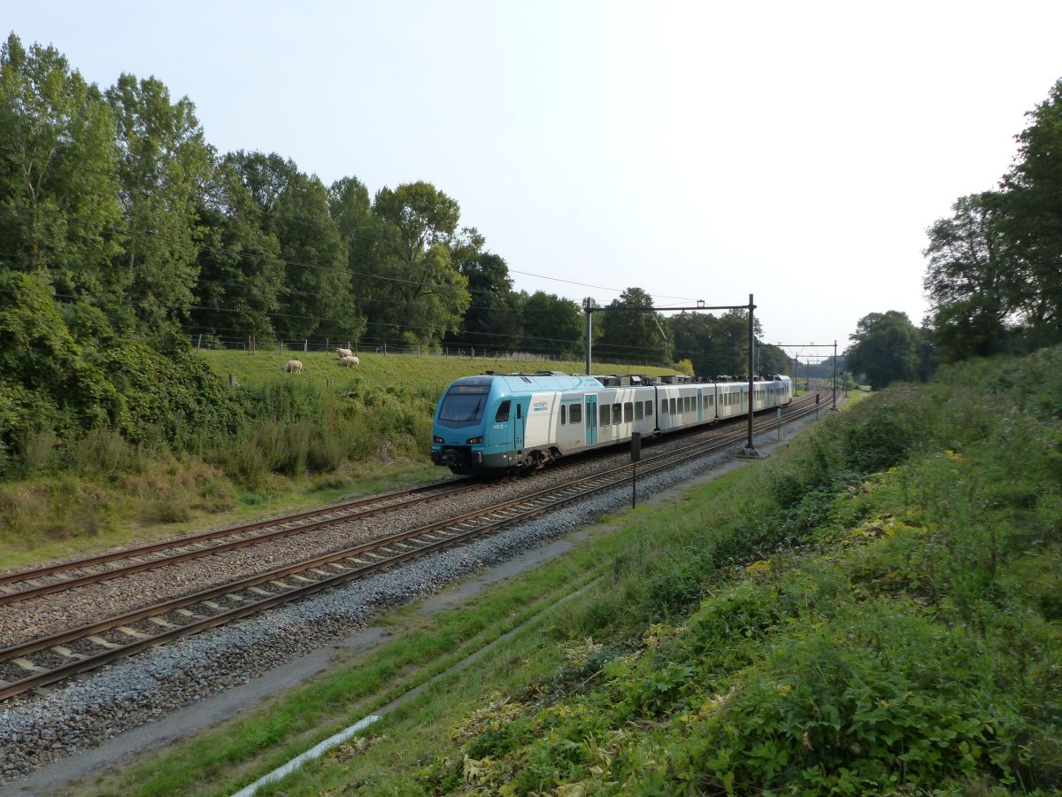 Keolis Eurobahn Stadler FLIRT 3 Triebzug ET 4.02 De Lutte, Niederlande 11-09-2020.


Keolis Eurobahn Stadler FLIRT 3 treinstel ET 4.02 De Lutte, Nederland 11-09-2020.