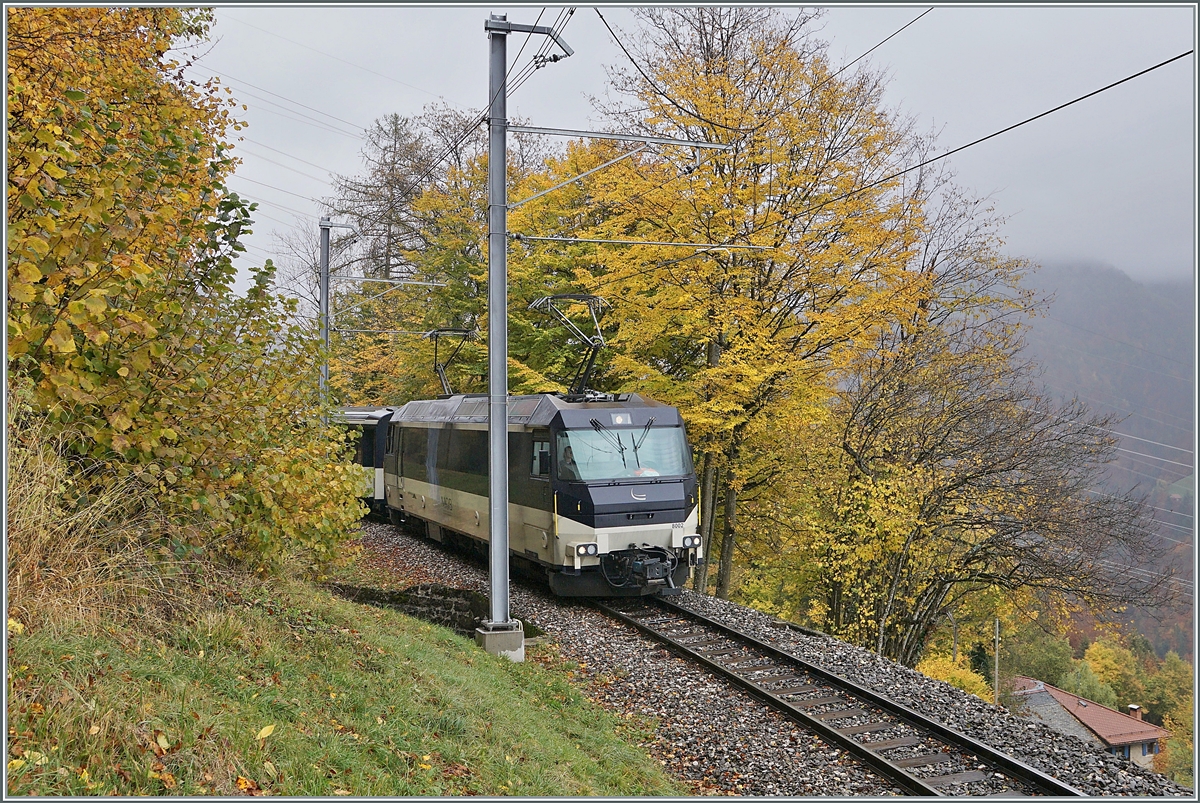 Kurz nach Sendy-Sollard zeigt sich die MOB Ge 4/4 8002 an der Spitze ihres Regionalzugs von Zweisimmen nach Montreux zwischen bunten Herbstfarben.

28. Okt. 2020