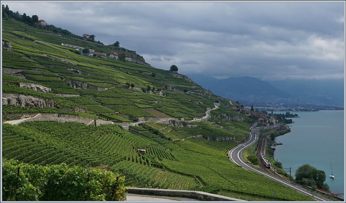 Lavaux, mit einem Regionalzug auf der Train des Vignes Strecken (Puidoux-Chexbres -Vevey und einem Flirt Richtung Lausanne kurz vor Rivaz.
22. Juli 2017
