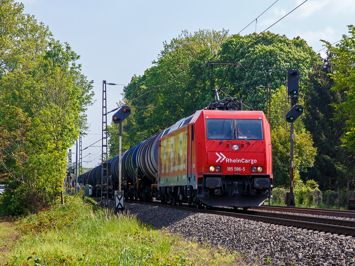 
Leider von der Schattenseite.....
Die RheinCargo 2054 bzw. 185 586-5 (91 80 6185 586-5 D-RHC)  Heizprofi , ex HGK 185 586-5, fährt am 30.04.2019 mit einem Kesselwagenzug durch Bonn-Gronau (nähe dem Bf Bonn UN Campus) in Richtung Köln.
