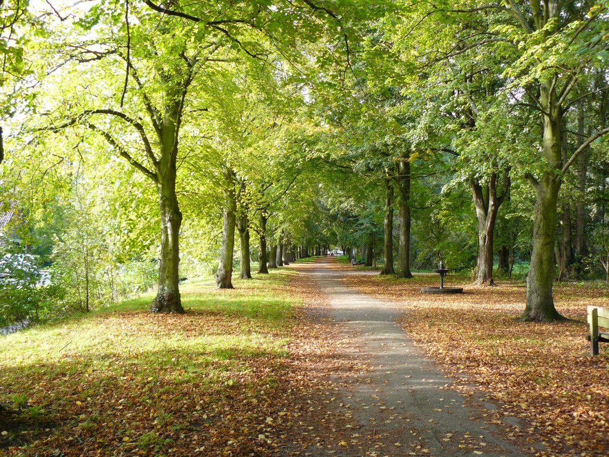 Leidse Hout, Leiden 18-10-2014.