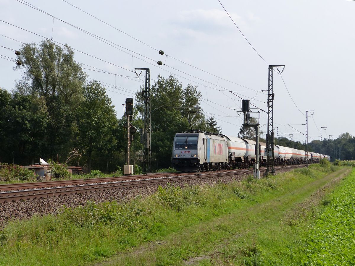 Lotos Kolej Railpool Lokomotive E 186 272-1 (NVR 91 80 6186 272-1 D-Rpool) Devesstra�e, Salzbergen, Deutschland  11-09-2020.

Lotos Kolej Railpool locomotief E 186 272-1 (NVR 91 80 6186 272-1 D-Rpool) Devesstra�e, Salzbergen, Duitsland  11-09-2020.