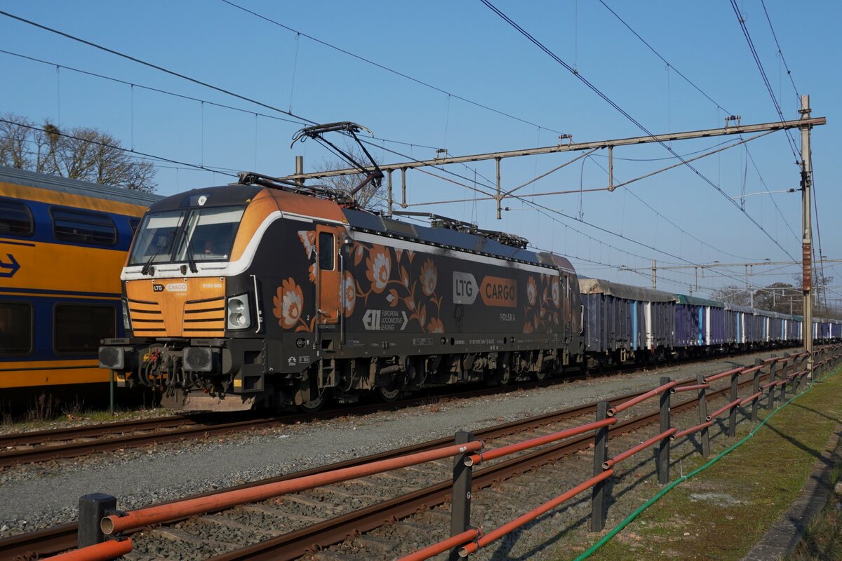LTG Cargo 193 509 steht mit ein Getreidezug am 3 März 2026 in Oss, wo Arbeit bei die Gleise dieser Fotostandpunkt etwas versauert hat.