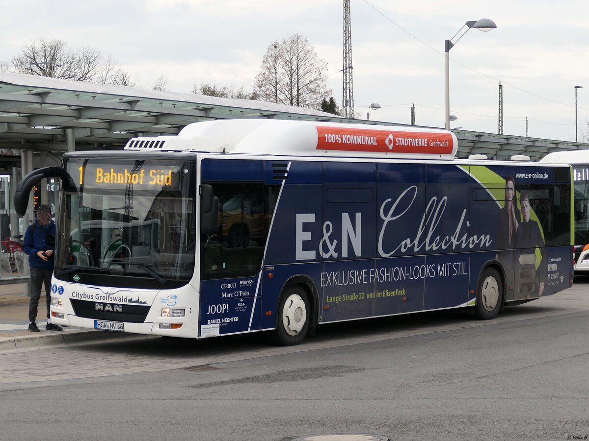 MAN Lion's City CNG der Stadtwerke Greifswald in Greifswald. 