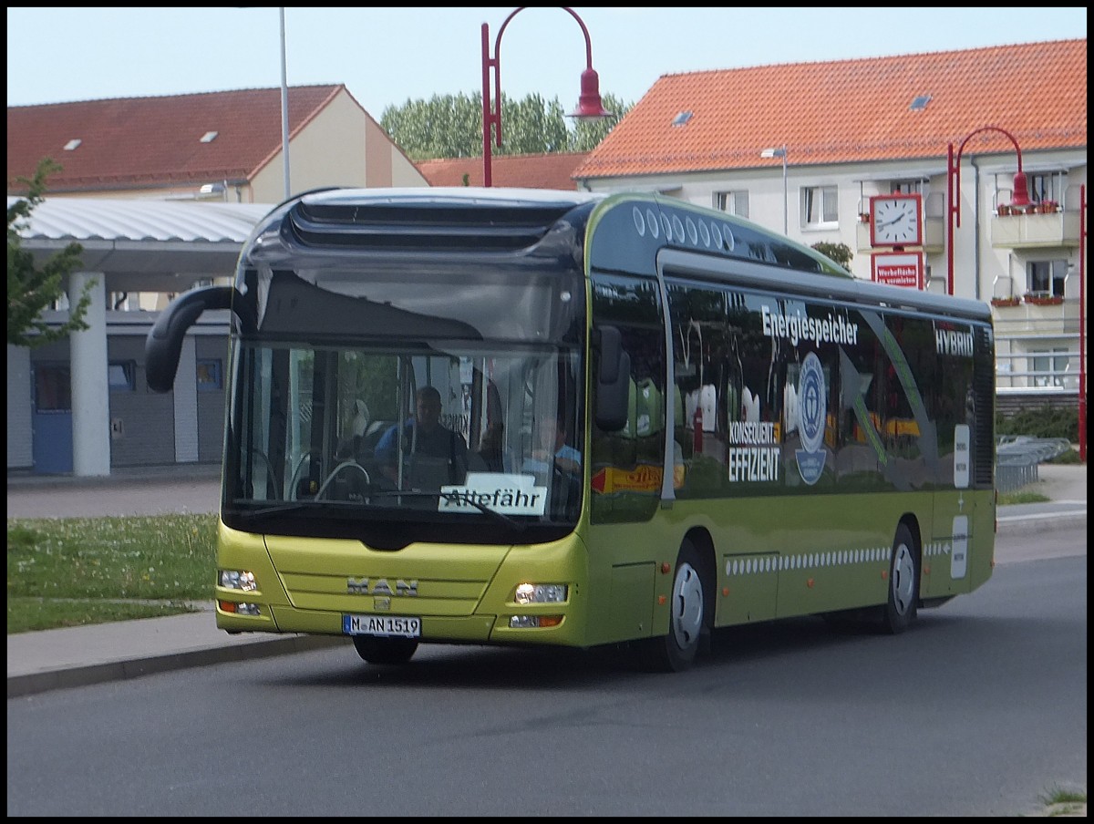 MAN Lion's City Hybrid aus M�nchen in Bergen.