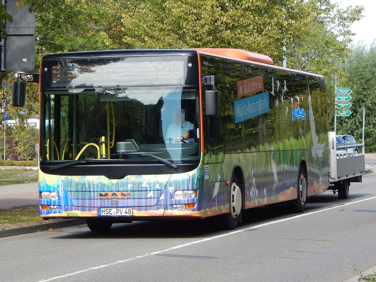 MAN Lion's City mit Anh�nger der MVVG in Waren. 