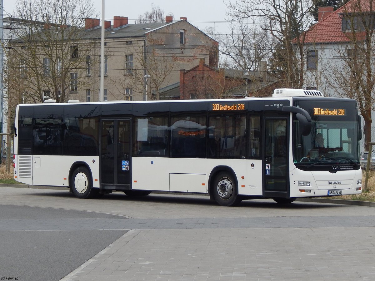 MAN Lion's City der VVG in Greifswald.